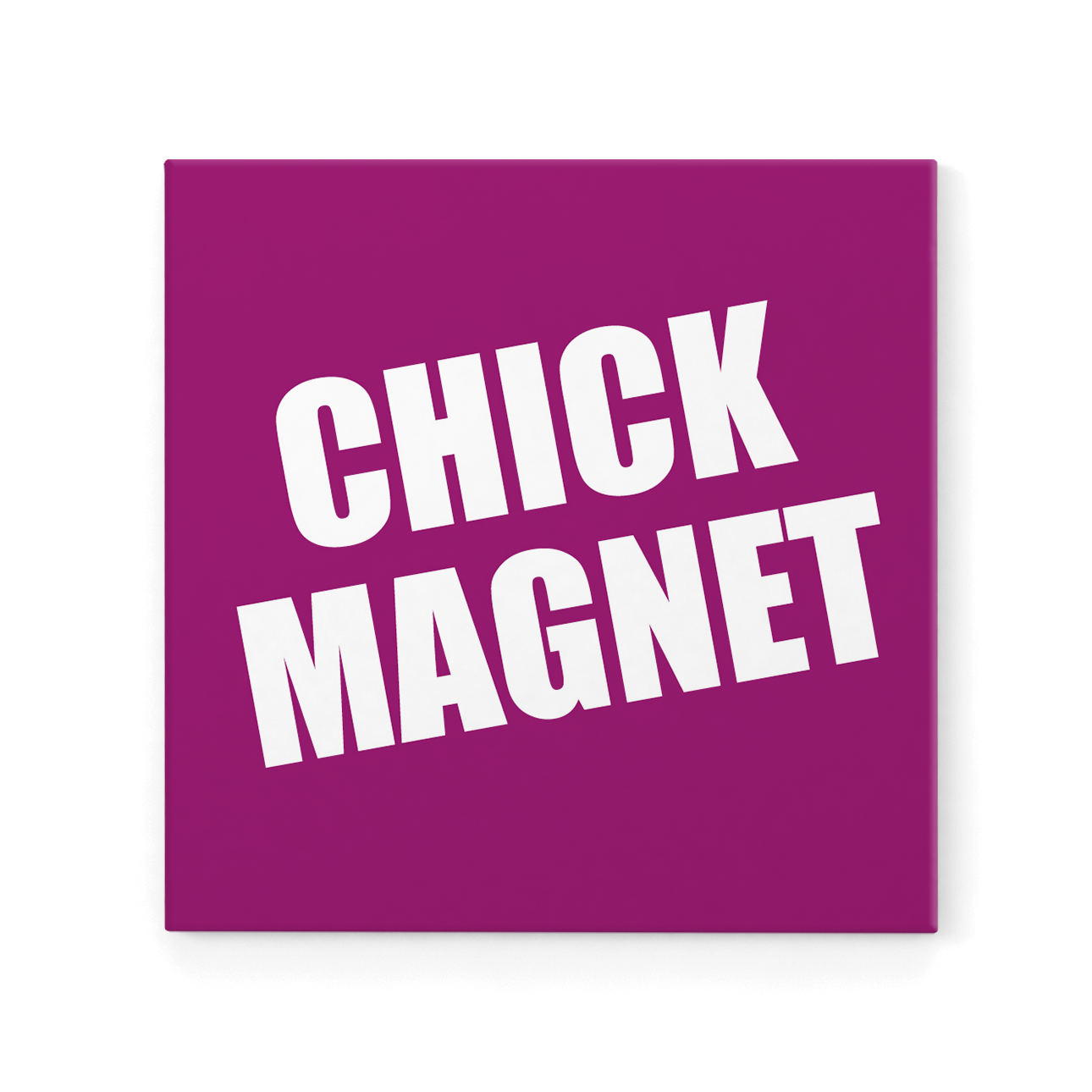 DMG014 - Chick Magnet - Defamations Magnet