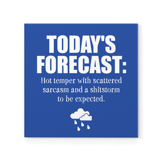 DMG013 - Today's Forecast - Defamations Magnet
