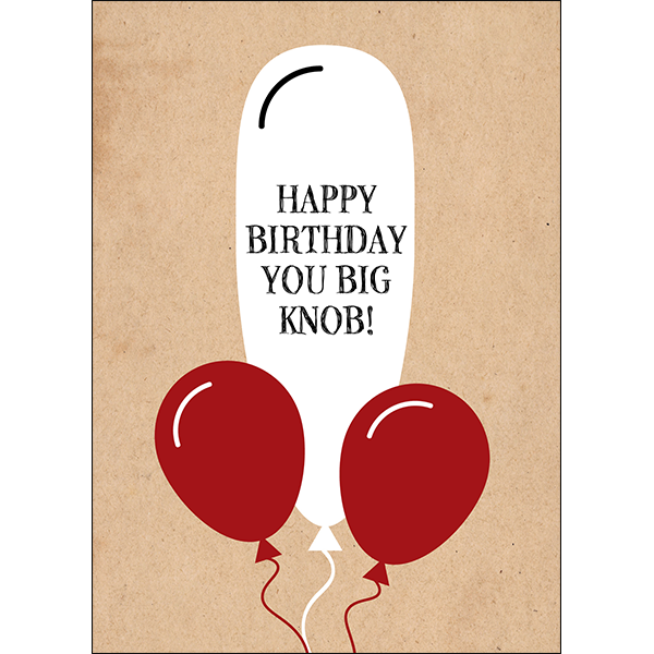 X101 - Happy birthday, you big knob! - sassy greeting card