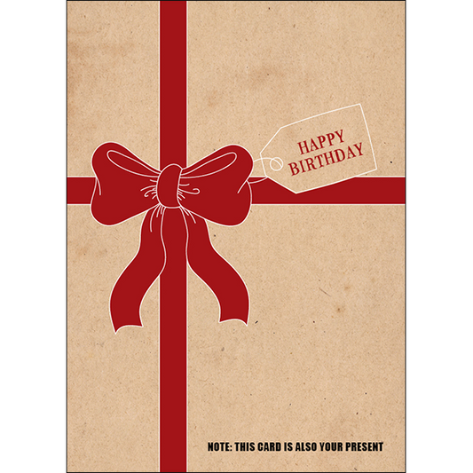 X83 - Happy birthday. Note: this card is also your present - rude birthday card