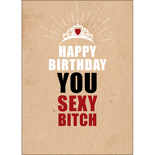 X98 - Happy birthday, you sexy bitch - rude birthday card